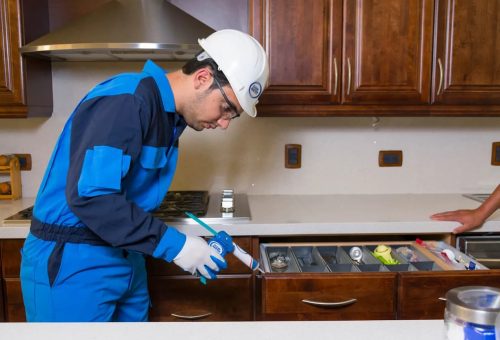 Fumigación para casas en Guatemala: Soluciones profesionales que garantizan la higiene y seguridad de espacios residenciales.